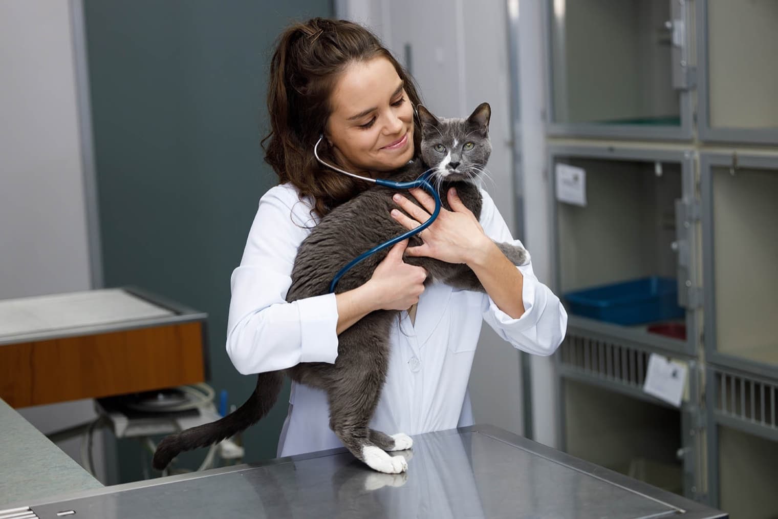 Vet holding a cat in the clinic