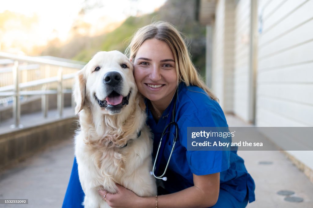 Hip and Elbow Dysplasia in Goldens: What Owners Should Watch For