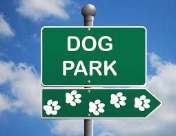 How to Keep Your Dog Healthy and Safe at Your City's Dog Park