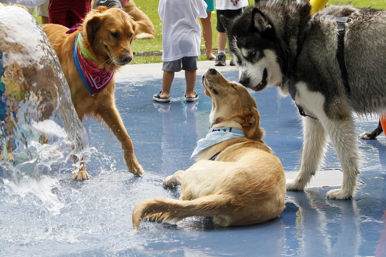 Case Report: Heat Stress After a Summer Afternoon Outdoors