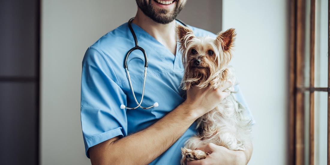 Telehealth check-ins after surgery: how clinics run them